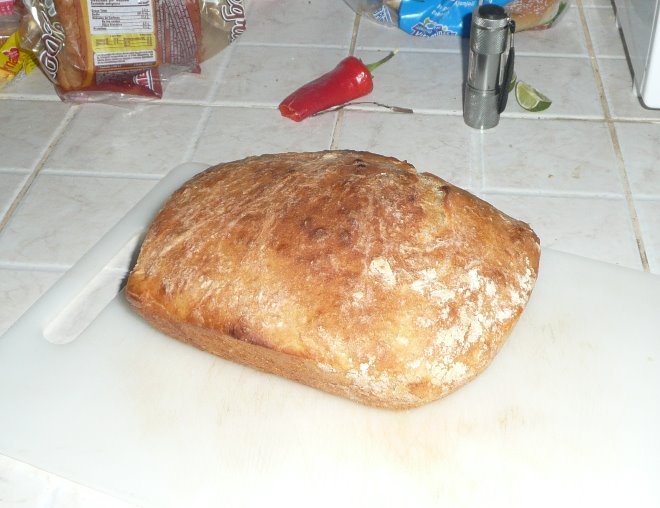 Pat's first loaf of quick European-style bread
