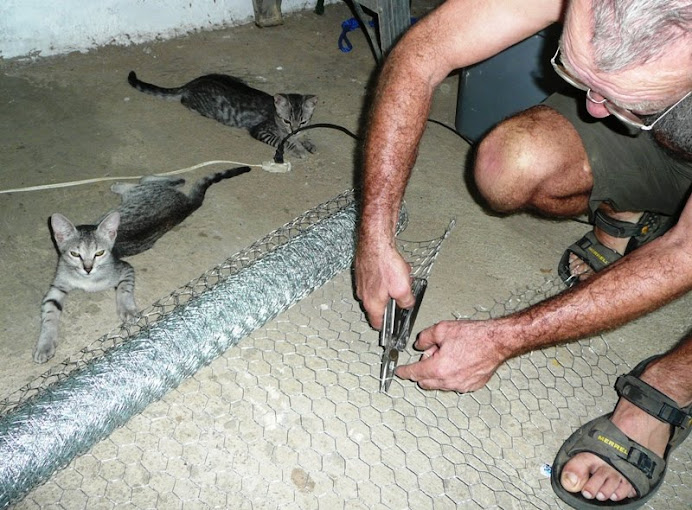 Pat, kitten-proofing the house with helpers