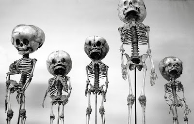 Anatomie Pathologique