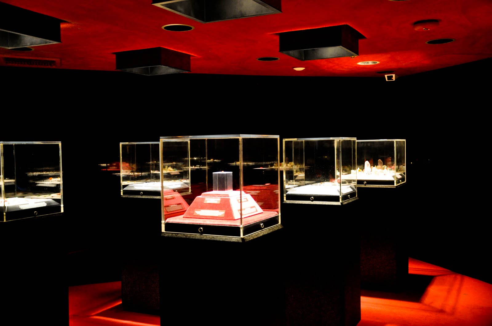 Sailor RN Natural History Museum of Los AngelesThe Vault