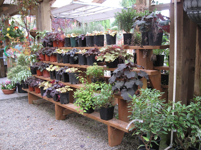 Garden Photo Of The Day 08 01 2014 09 01 2014