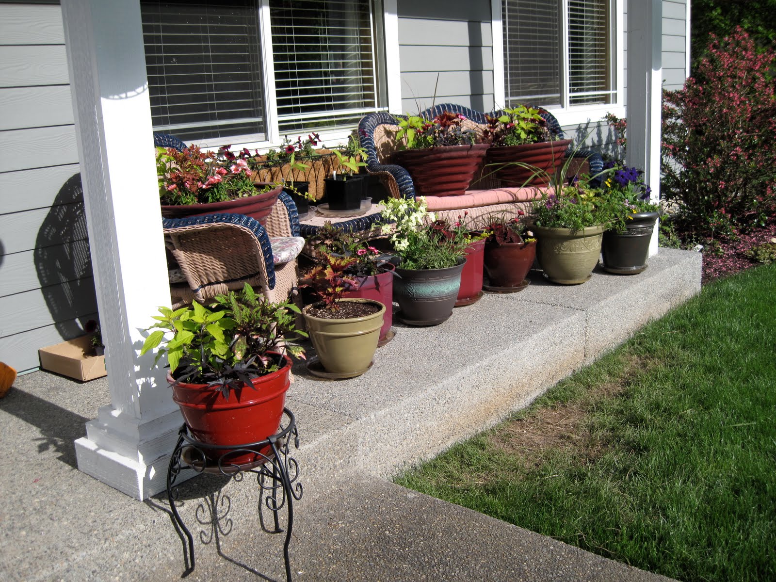 The Practical Plant Geek