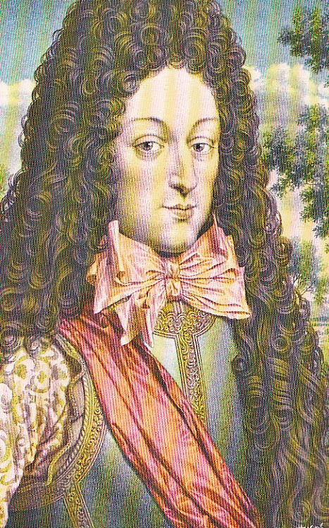 Maximiliaan Emanuel van Beieren