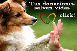 Donaciones!!