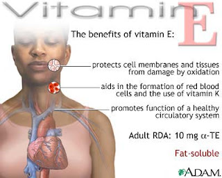 Benefits of Vitamin E, Sources of Vitamin E