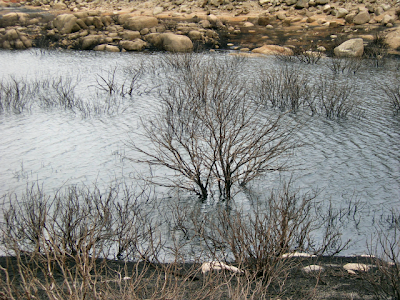 Serra da Estrela - Cântaro Gordo