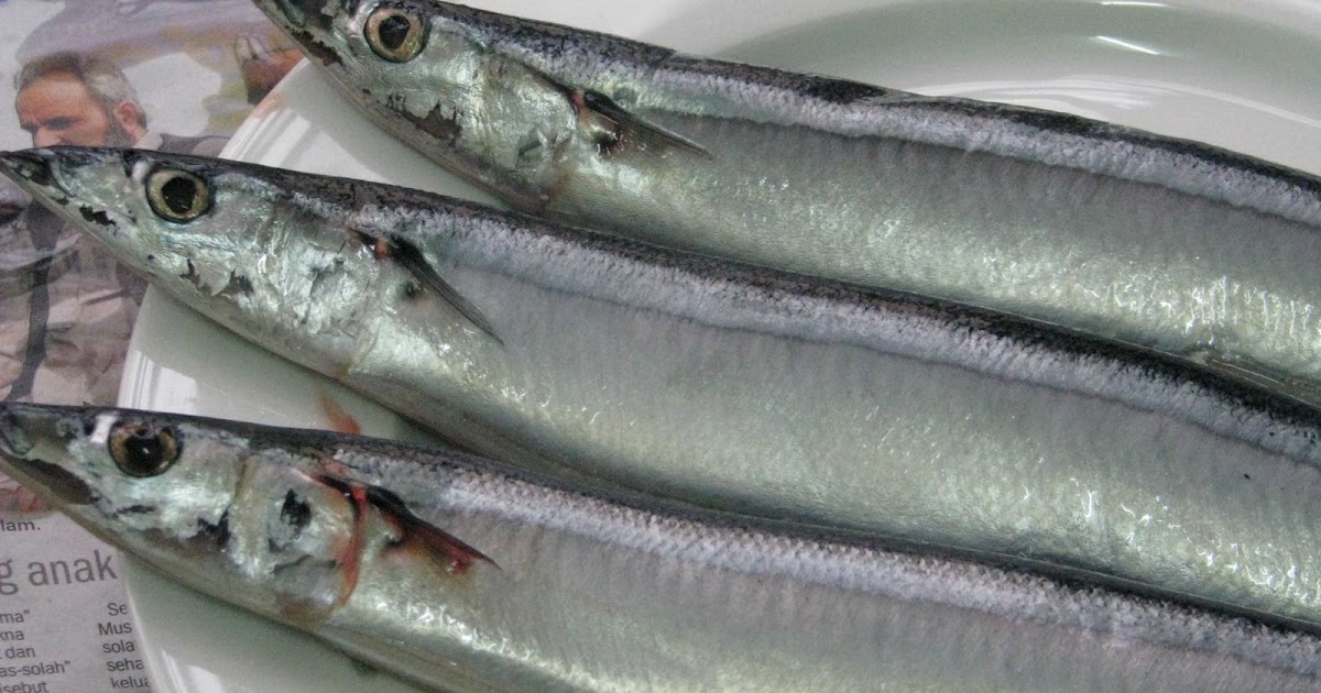 my small kitchen ikan sanma ikan saba my small kitchen ikan sanma ikan saba