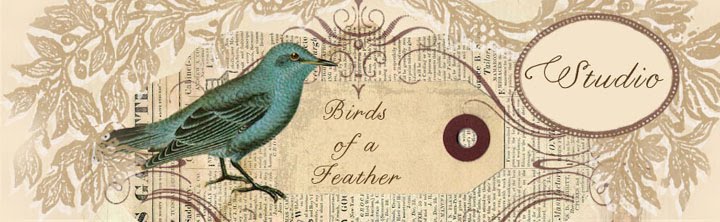 Birds of a Feather Studio