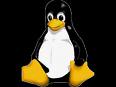 Linux Educacional e suas aplicações pedagógicas