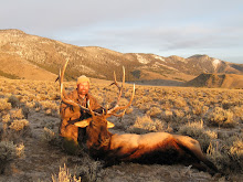 Idaho Bull Hunt