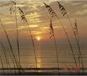 Sun Is Rising