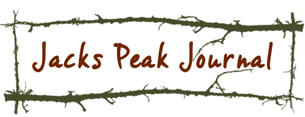 Jacks Peak Journal by Patrice Vecchione