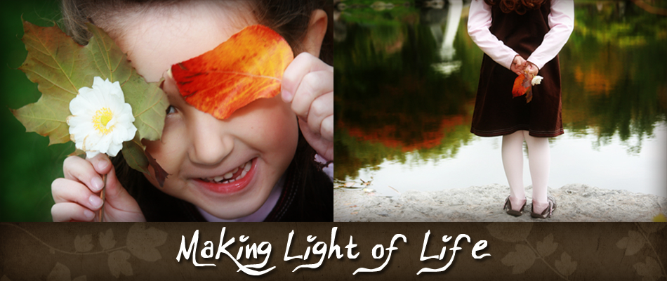 Making Light of Life
