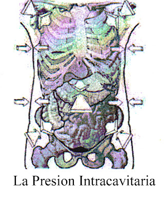 Articulaciones viscerales - Presión intracavitaria