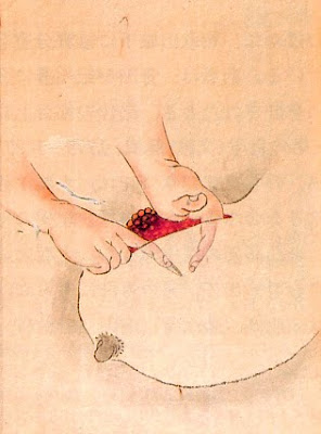 Ilustraciones anatómicas del Japón del siglo XVIII
