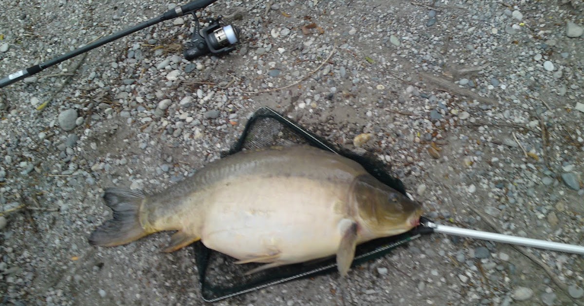 najposeceniji sajtovi u bih