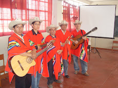 grupo musical expresion andina