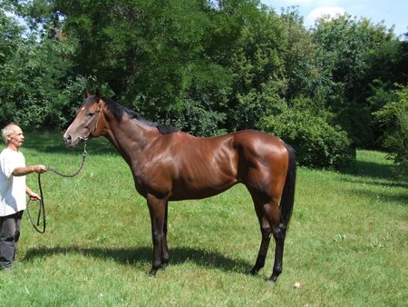 [overdose-index.jpg]