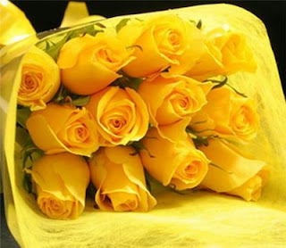 rose+yellow.jpg