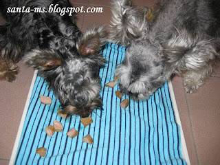 RECIPE DOG-FOOD RAW-FOOD BEEF RECIPE DOG-FOOD RAW-FOOD BEEF