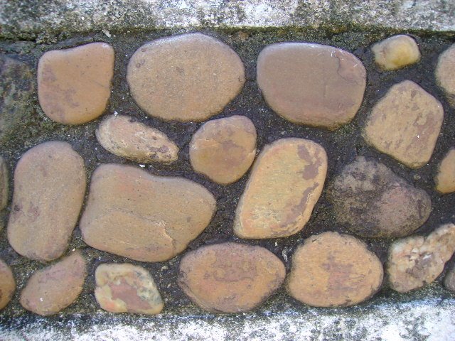 [DSC06916.JPG]