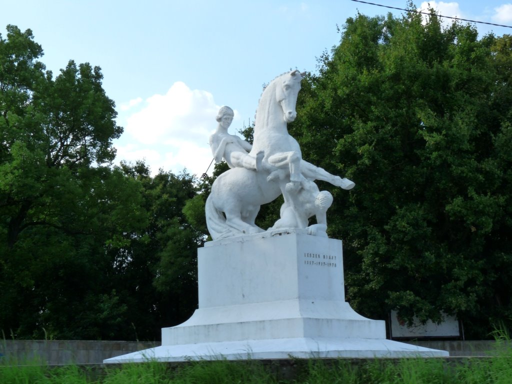 [P1030462.JPG]