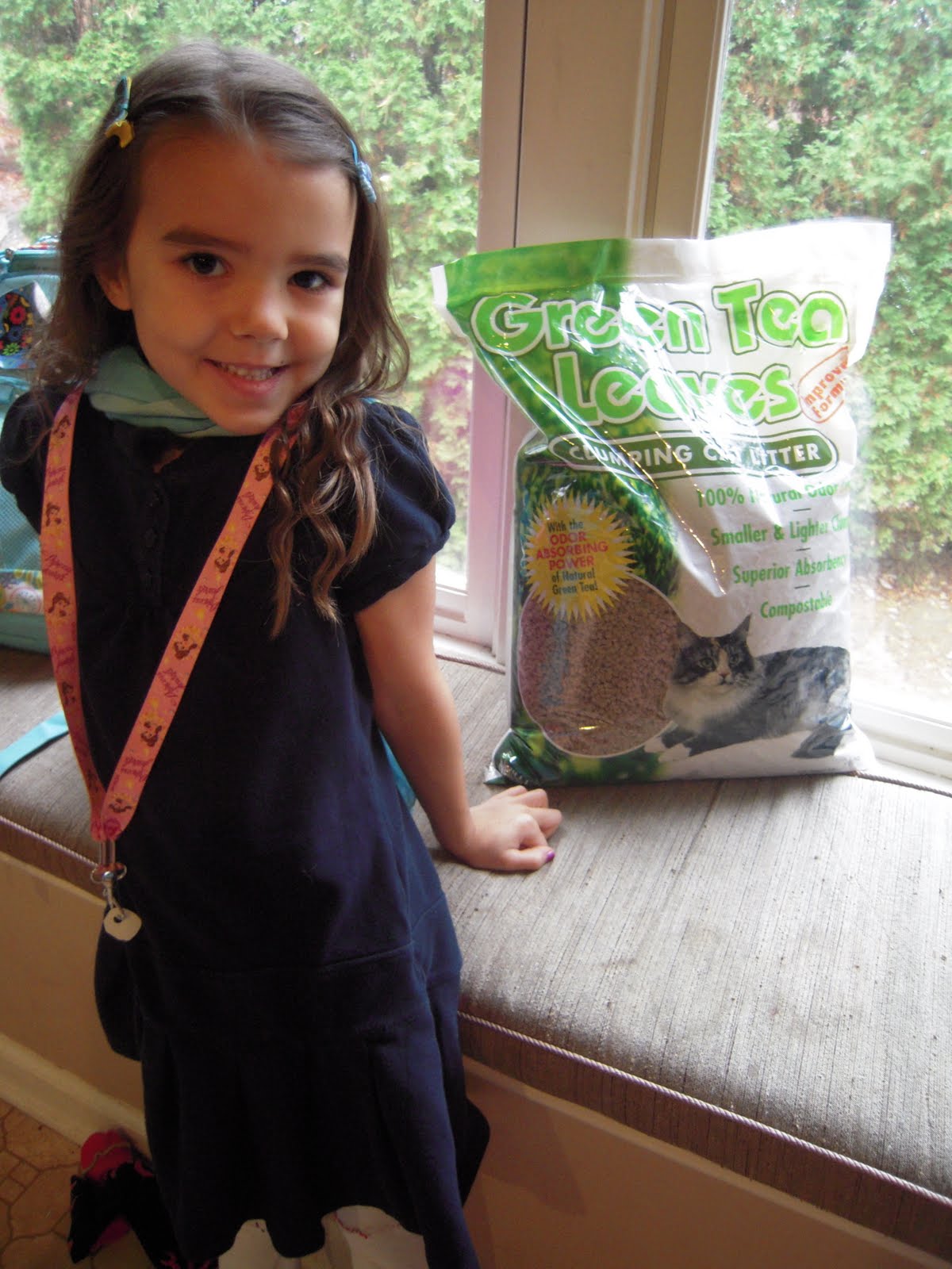 Next Gen Green Tea Cat Litter Review Family Focus Blog