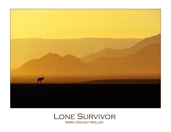 [Lone+survivor.bmp]