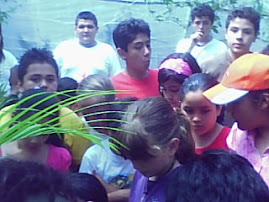 ACTIVIDADES DEL CURSO DE VERANO