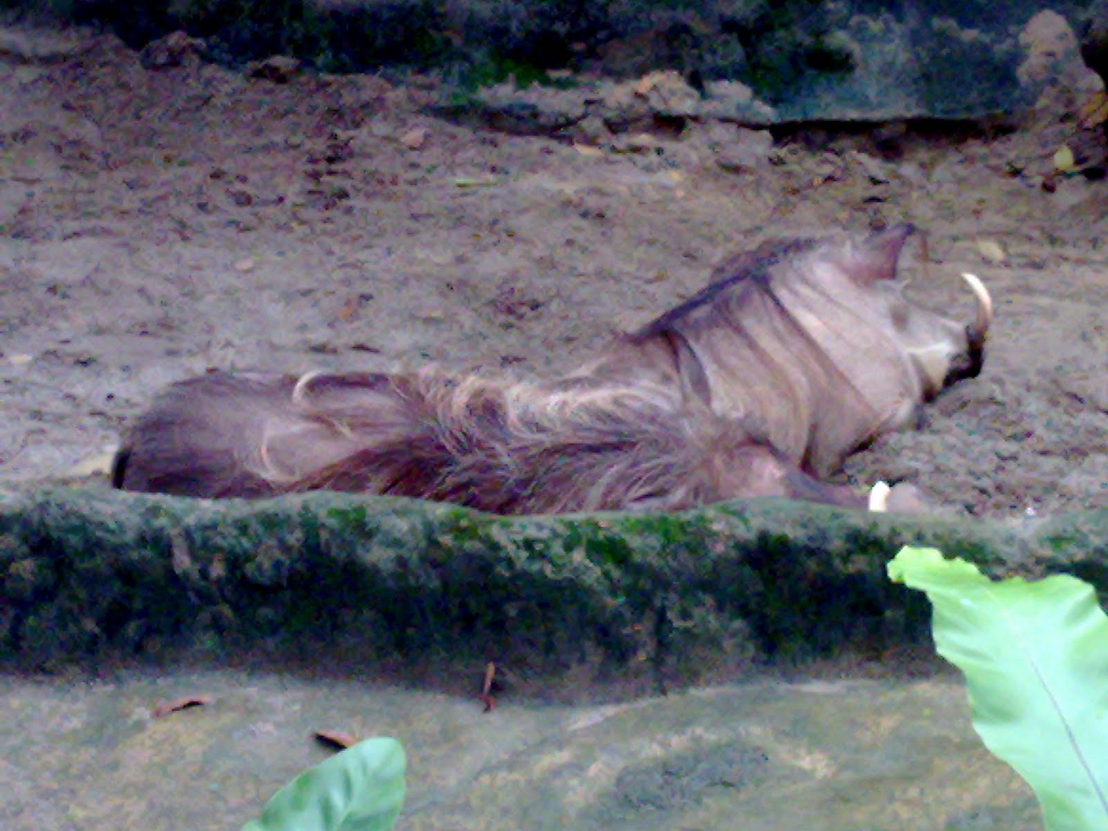 [Image149.jpg]