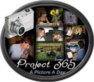 [Project+365+2010.png]