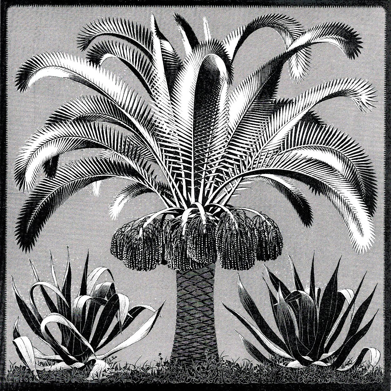 mc escher prints