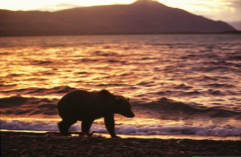 [brown-bear-beach-sunset_6662.jpg]