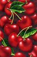 [tiny+cherries+for+charms.bmp]