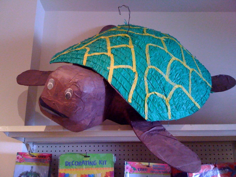 [turtle.jpeg]