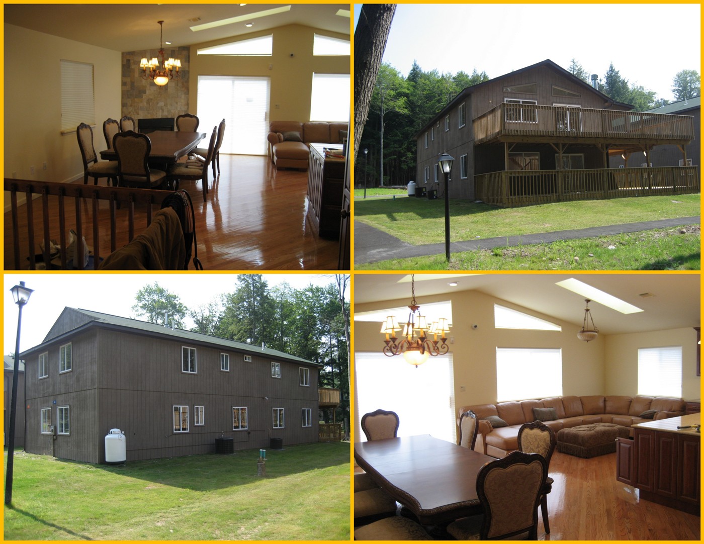 Large Trees Tight Spaces News From The World Of Pao Rare And