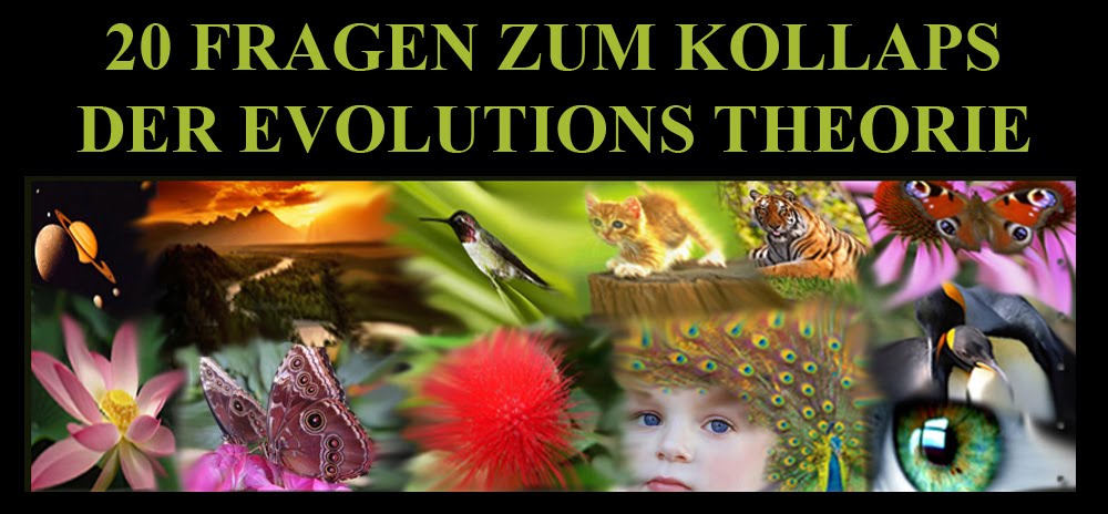 20 FRAGEN ZUM KOLLAPS DER EVOLUTIONS THEORIE
