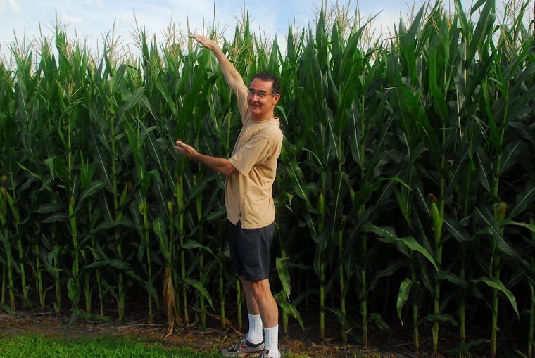 Did We Tell You About Iowa's Cornfields?