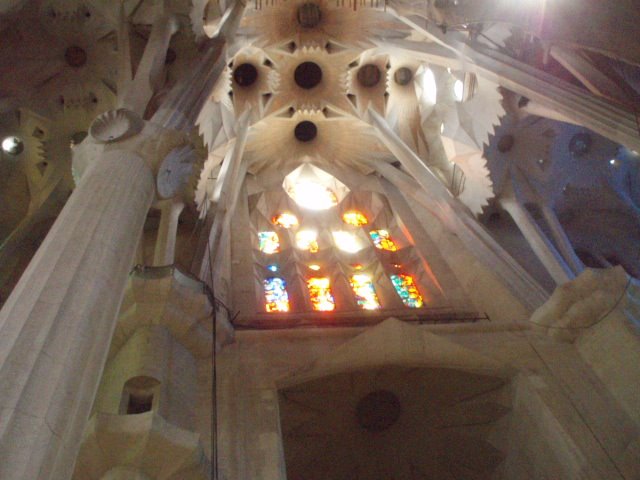 [P1016447.JPG]