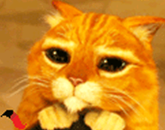 Aki Gifs Gifs Animados Gato De Botas vrogue.co