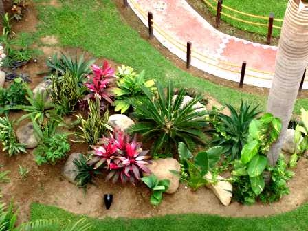 la gardenista tropical garden