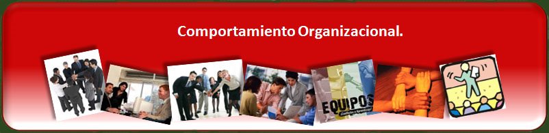 Comportamiento Organizacional