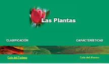 Las plantas