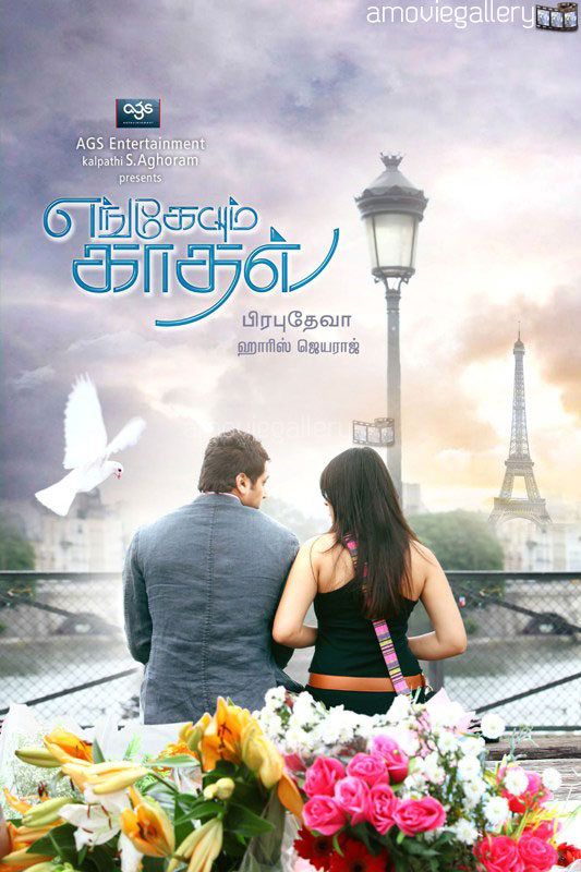 Engeyum Kadhal Tamil Movie Stills Hanshika Jayam Ravi. Hanshika Motwani debute Tamil movie Engeyum Kadhal movie stills, Jayam Ravi is the hero of the movie