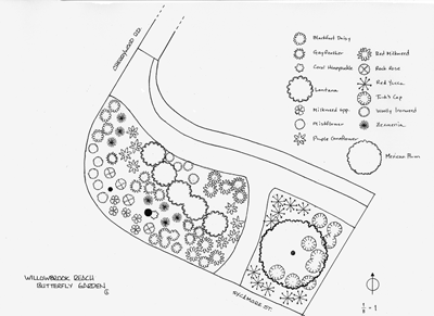 Willowbrook Reach Native Butterfly Garden Plan