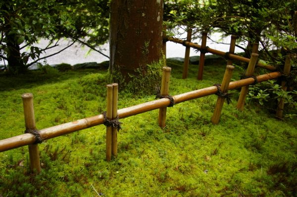 The Grackle: gardens: Fence Inspirations from Portland