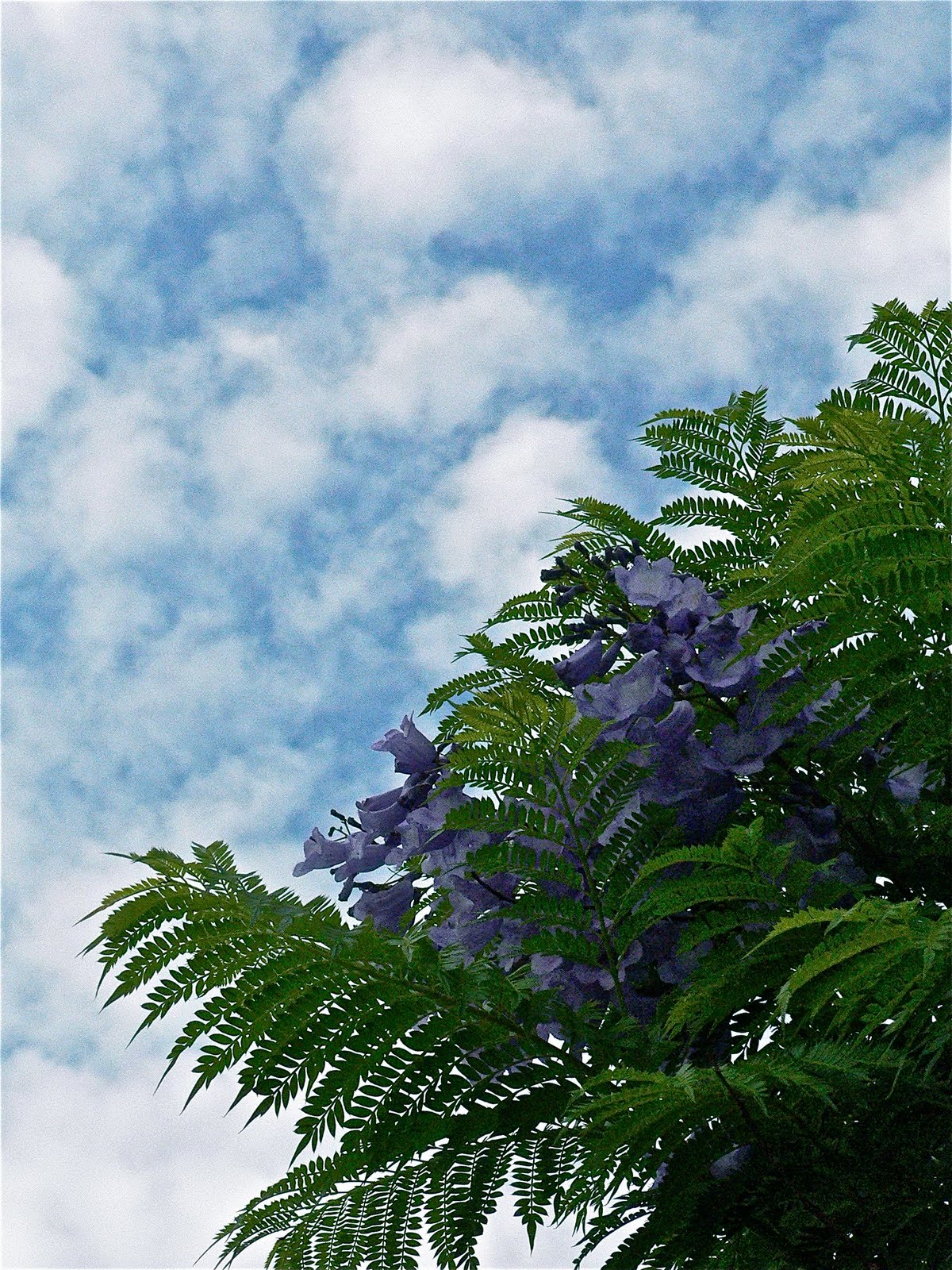 Bossy Betty Poetry Tuesday April By Marcia Masters