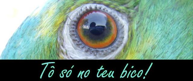 Tô só no teu bico!