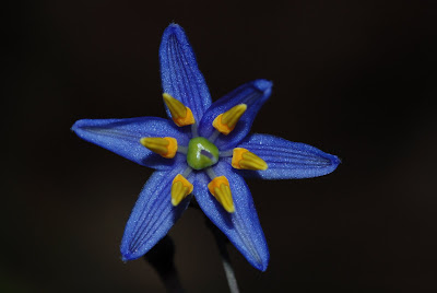 Blog do companheiro Antonio Braga.