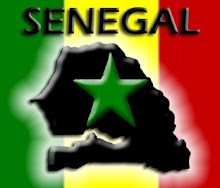 New Lifee 101 Senegal